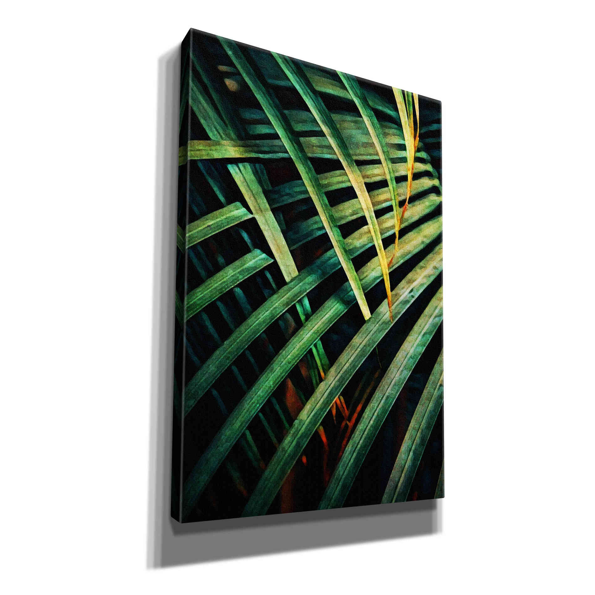 'Beauty Amongst Palms 1' by Ashley Aldridge Giclee Canvas Wall Art