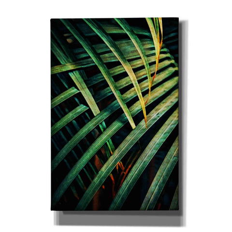 Image of 'Beauty Amongst Palms 1' by Ashley Aldridge Giclee Canvas Wall Art