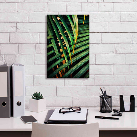 Image of 'Beauty Amongst Palms 2' by Ashley Aldridge Giclee Canvas Wall Art,12 x 18