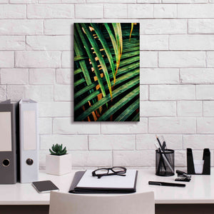 'Beauty Amongst Palms 2' by Ashley Aldridge Giclee Canvas Wall Art,12 x 18