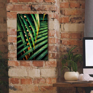 'Beauty Amongst Palms 2' by Ashley Aldridge Giclee Canvas Wall Art,12 x 18