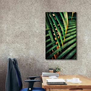 'Beauty Amongst Palms 2' by Ashley Aldridge Giclee Canvas Wall Art,26 x 40