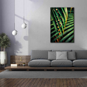'Beauty Amongst Palms 2' by Ashley Aldridge Giclee Canvas Wall Art,40 x 60
