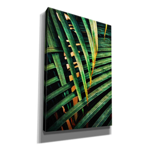 Image of 'Beauty Amongst Palms 2' by Ashley Aldridge Giclee Canvas Wall Art