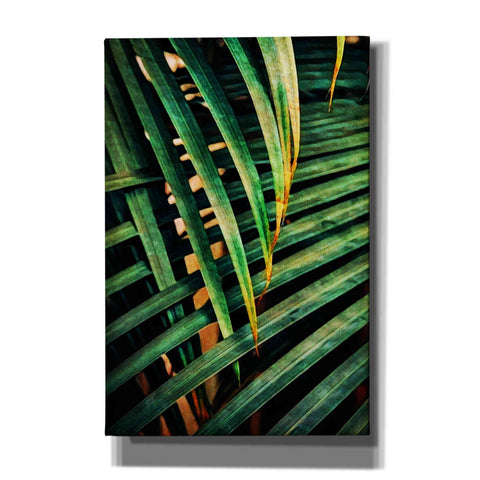 Image of 'Beauty Amongst Palms 2' by Ashley Aldridge Giclee Canvas Wall Art