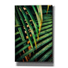 'Beauty Amongst Palms 2' by Ashley Aldridge Giclee Canvas Wall Art