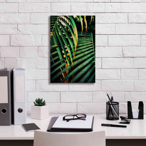 Image of 'Beauty Amongst Palms 3' by Ashley Aldridge Giclee Canvas Wall Art,12 x 18