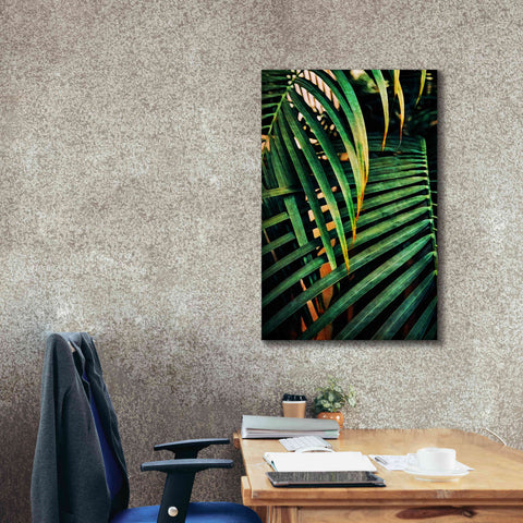 Image of 'Beauty Amongst Palms 3' by Ashley Aldridge Giclee Canvas Wall Art,26 x 40