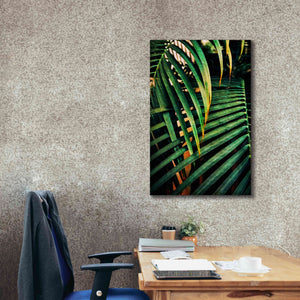 'Beauty Amongst Palms 3' by Ashley Aldridge Giclee Canvas Wall Art,26 x 40