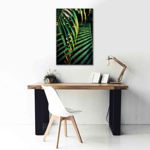 'Beauty Amongst Palms 3' by Ashley Aldridge Giclee Canvas Wall Art,26 x 40
