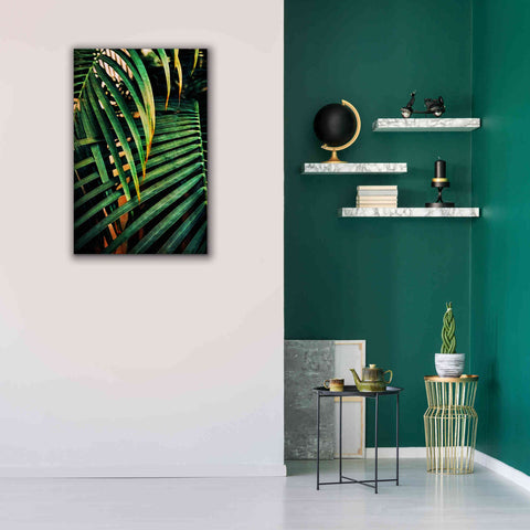Image of 'Beauty Amongst Palms 3' by Ashley Aldridge Giclee Canvas Wall Art,26 x 40