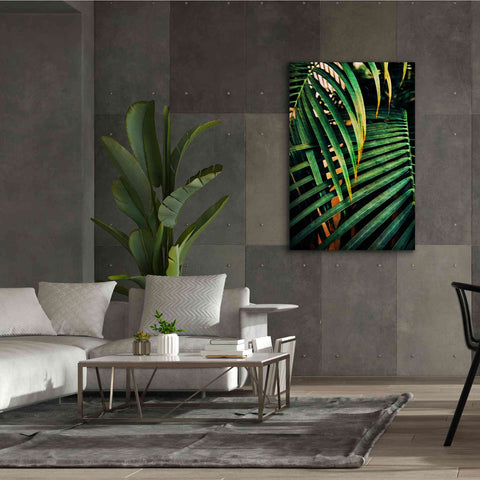 Image of 'Beauty Amongst Palms 3' by Ashley Aldridge Giclee Canvas Wall Art,40 x 60