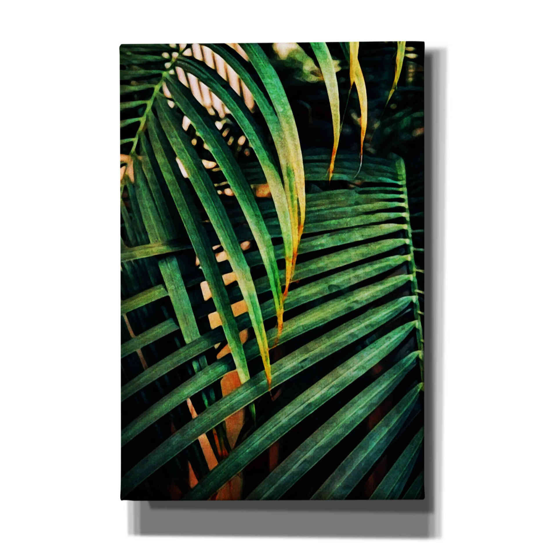'Beauty Amongst Palms 3' by Ashley Aldridge Giclee Canvas Wall Art