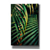 'Beauty Amongst Palms 3' by Ashley Aldridge Giclee Canvas Wall Art