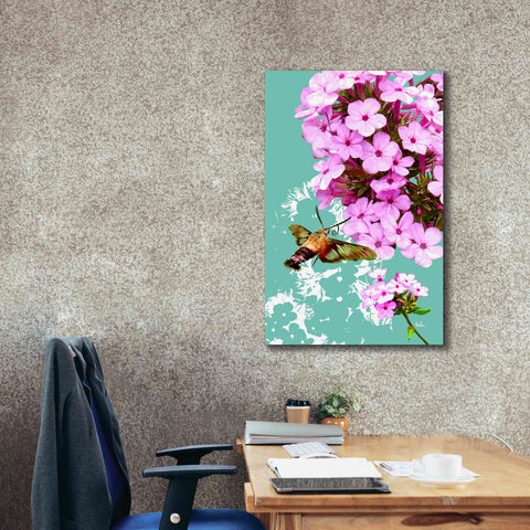 Image of 'Clearwing On Flox' by Evelia Designs Giclee Canvas Wall Art,26 x 40