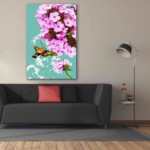 Image of 'Clearwing On Flox' by Evelia Designs Giclee Canvas Wall Art,40 x 60