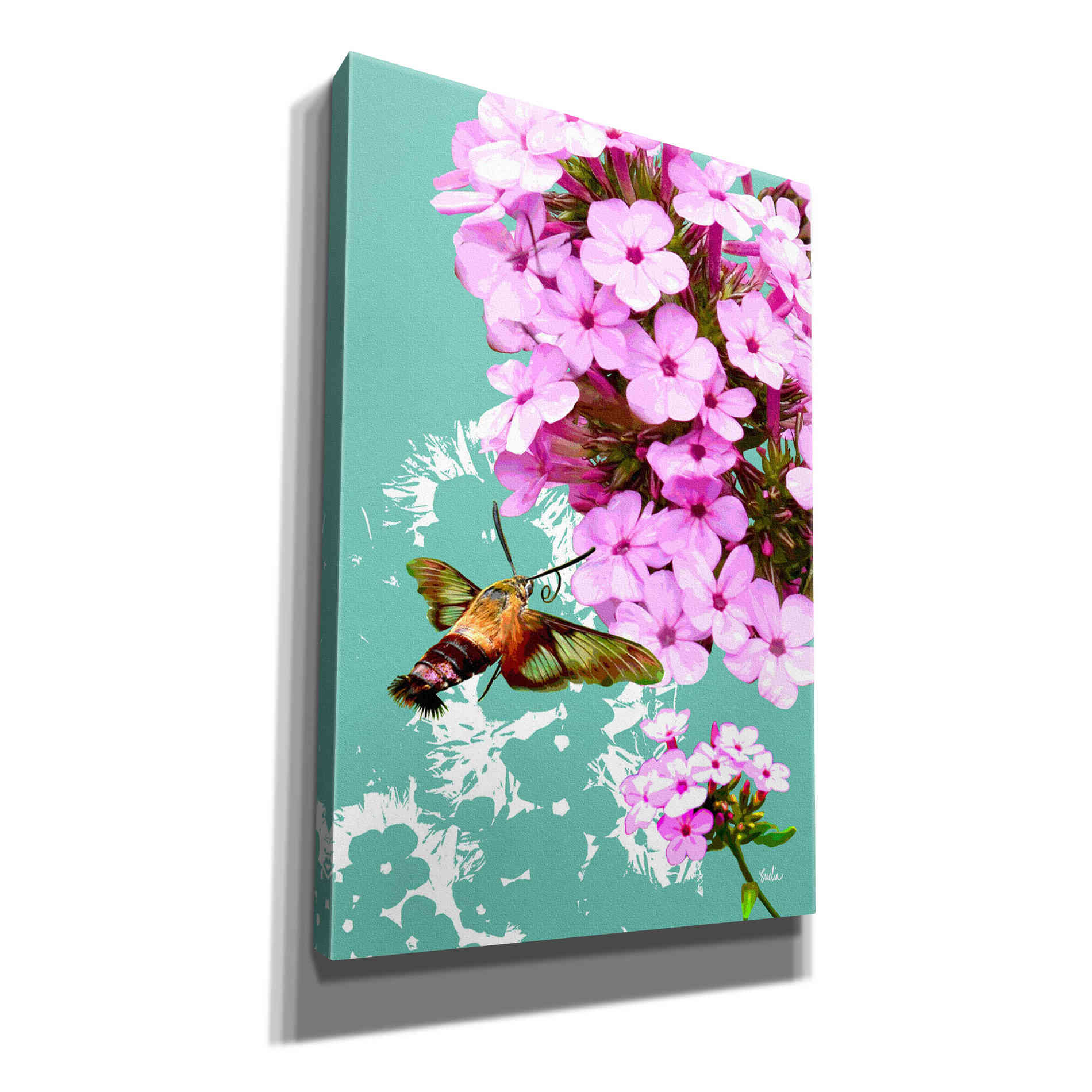 'Clearwing On Flox' by Evelia Designs Giclee Canvas Wall Art