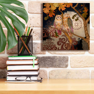 'Singing Owl' by Evelia Designs Giclee Canvas Wall Art,12 x 12
