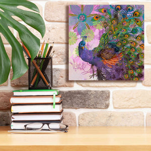 'Peacock Prance' by Evelia Designs Giclee Canvas Wall Art,12 x 12