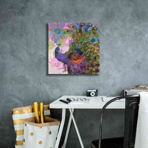 'Peacock Prance' by Evelia Designs Giclee Canvas Wall Art,18 x 18