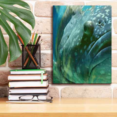 Image of 'Turquoise Splash One' by Steve Hunziker Giclee Canvas Wall Art,12 x 16