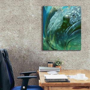 'Turquoise Splash One' by Steve Hunziker Giclee Canvas Wall Art,26 x 30