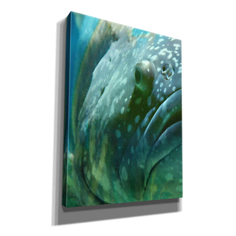 Image of 'Turquoise Splash One' by Steve Hunziker Giclee Canvas Wall Art