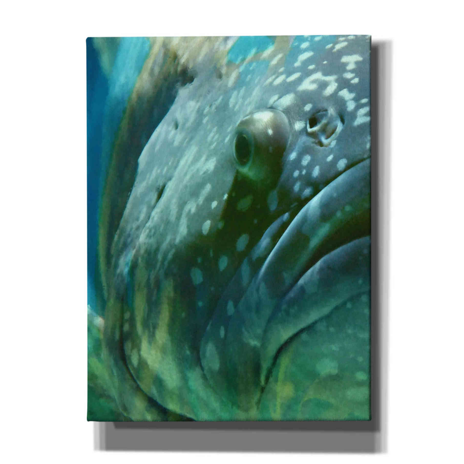 'Turquoise Splash One' by Steve Hunziker Giclee Canvas Wall Art