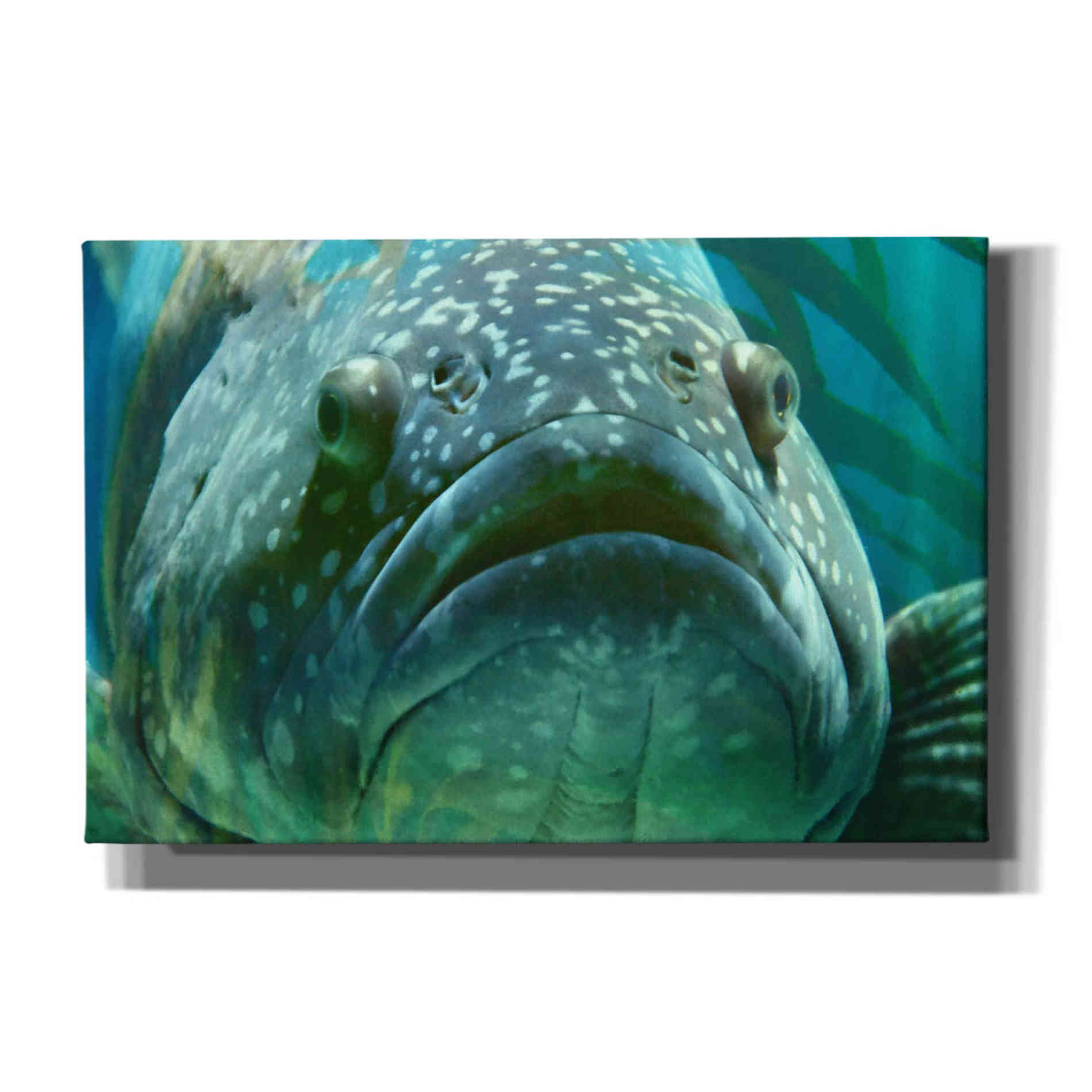 'Turquoisesplash Two' by Steve Hunziker Giclee Canvas Wall Art