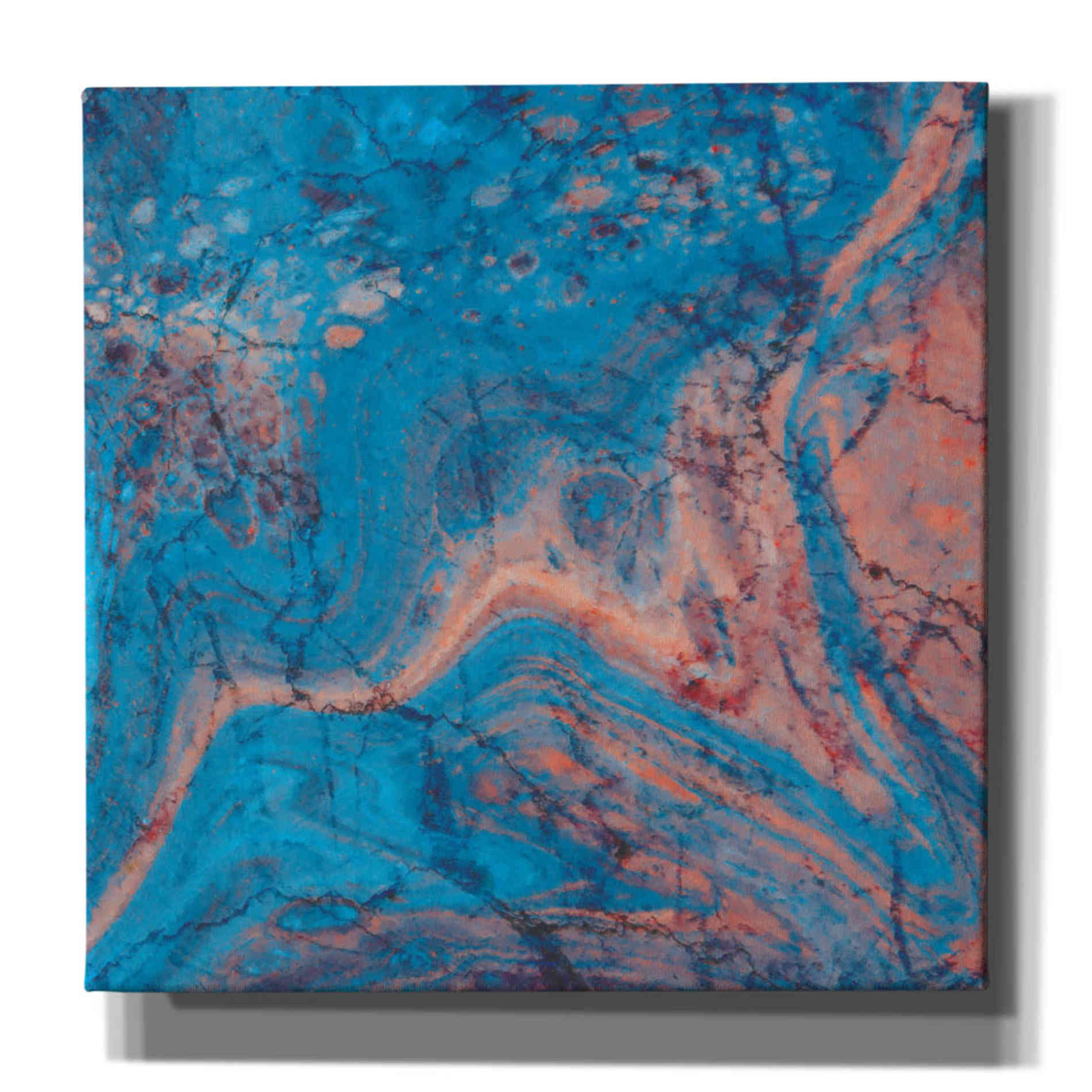 'Craquelure One' by Steve Hunziker Giclee Canvas Wall Art