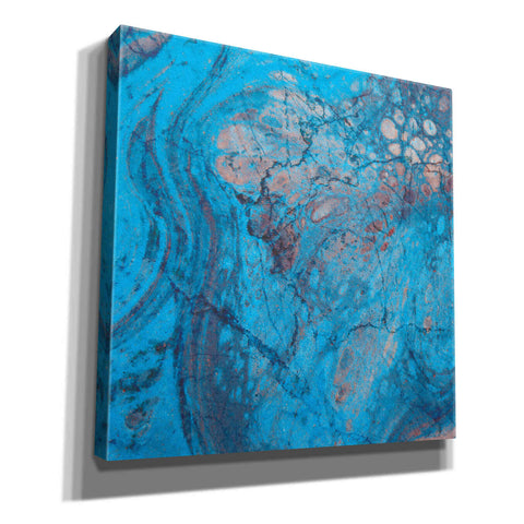 Image of 'Craquelure Two' by Steve Hunziker Giclee Canvas Wall Art
