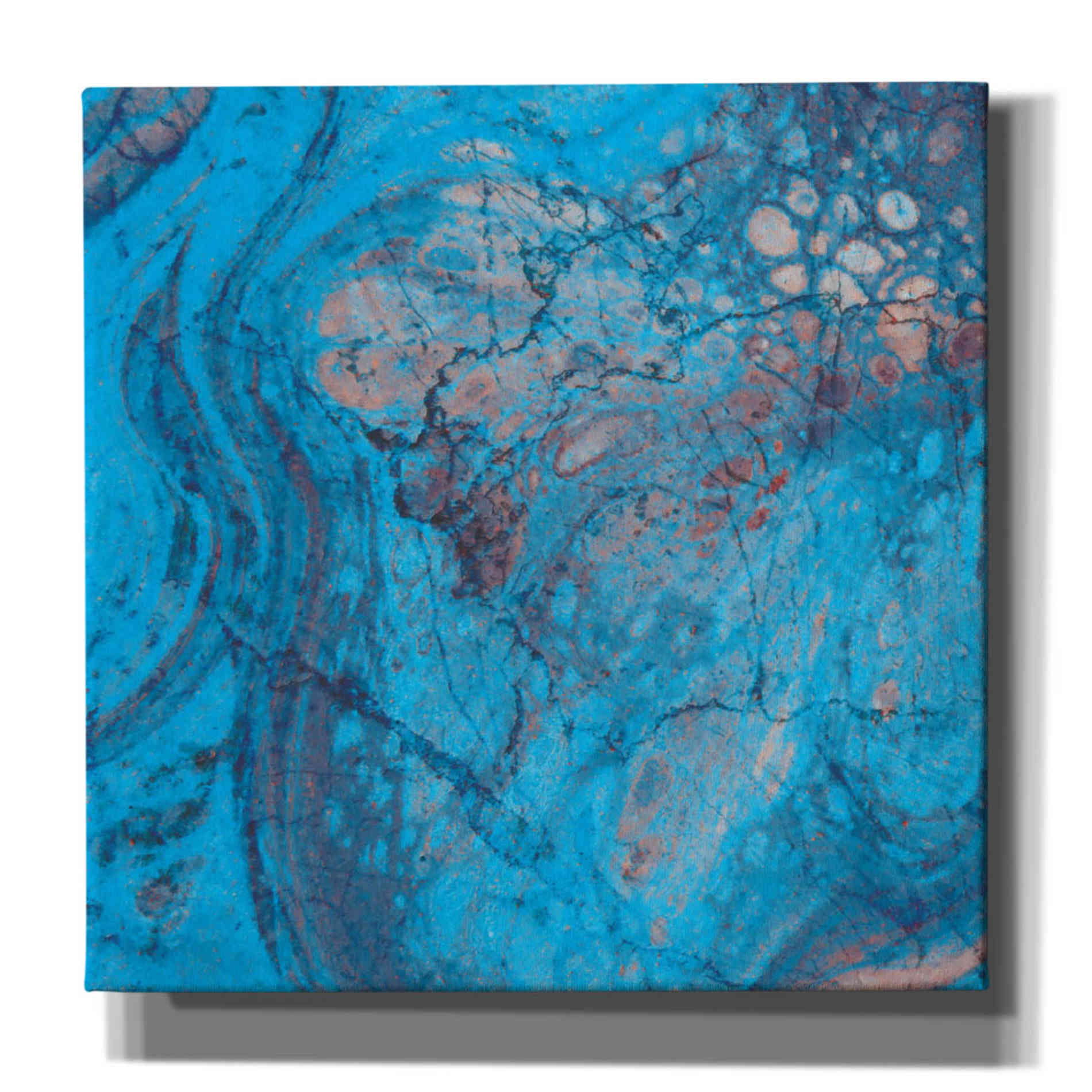 'Craquelure Two' by Steve Hunziker Giclee Canvas Wall Art