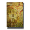 'Bitcoin Deco Nine' by Steve Hunziker Giclee Canvas Wall Art