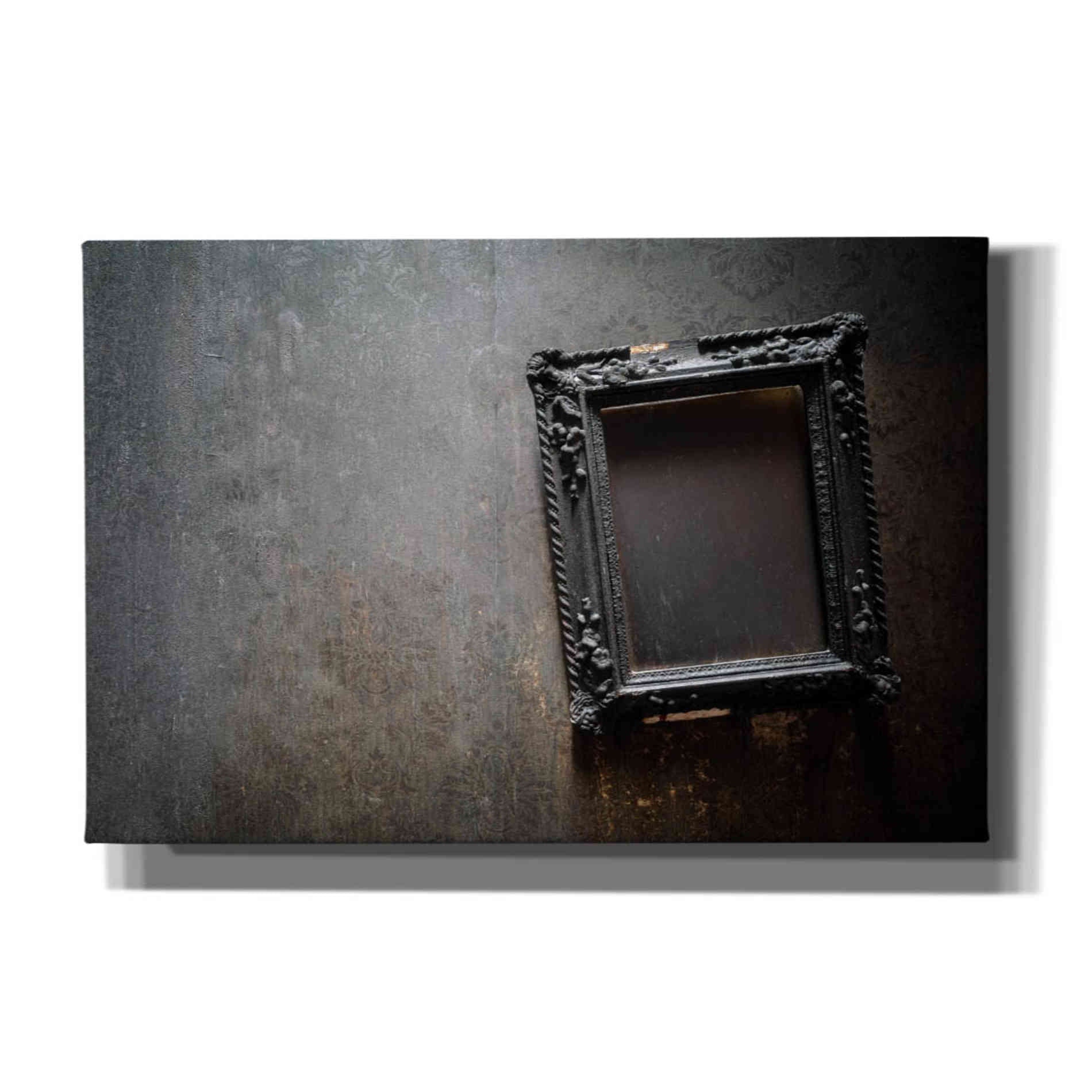 'Burned Frame' by Roman Robroek Giclee Canvas Wall Art