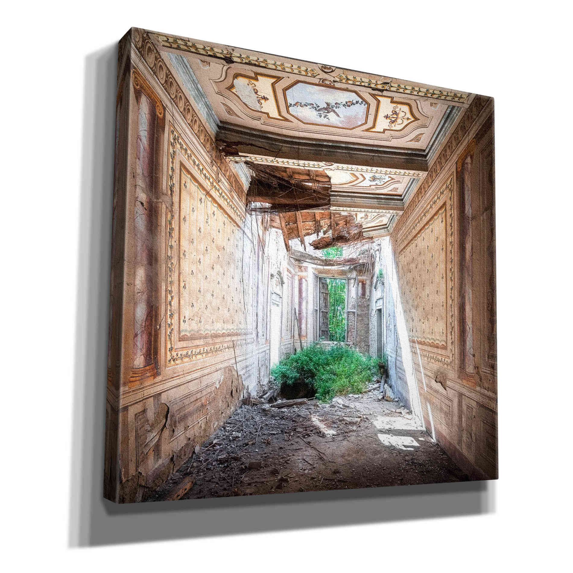 'Broken Farm' by Roman Robroek Giclee Canvas Wall Art