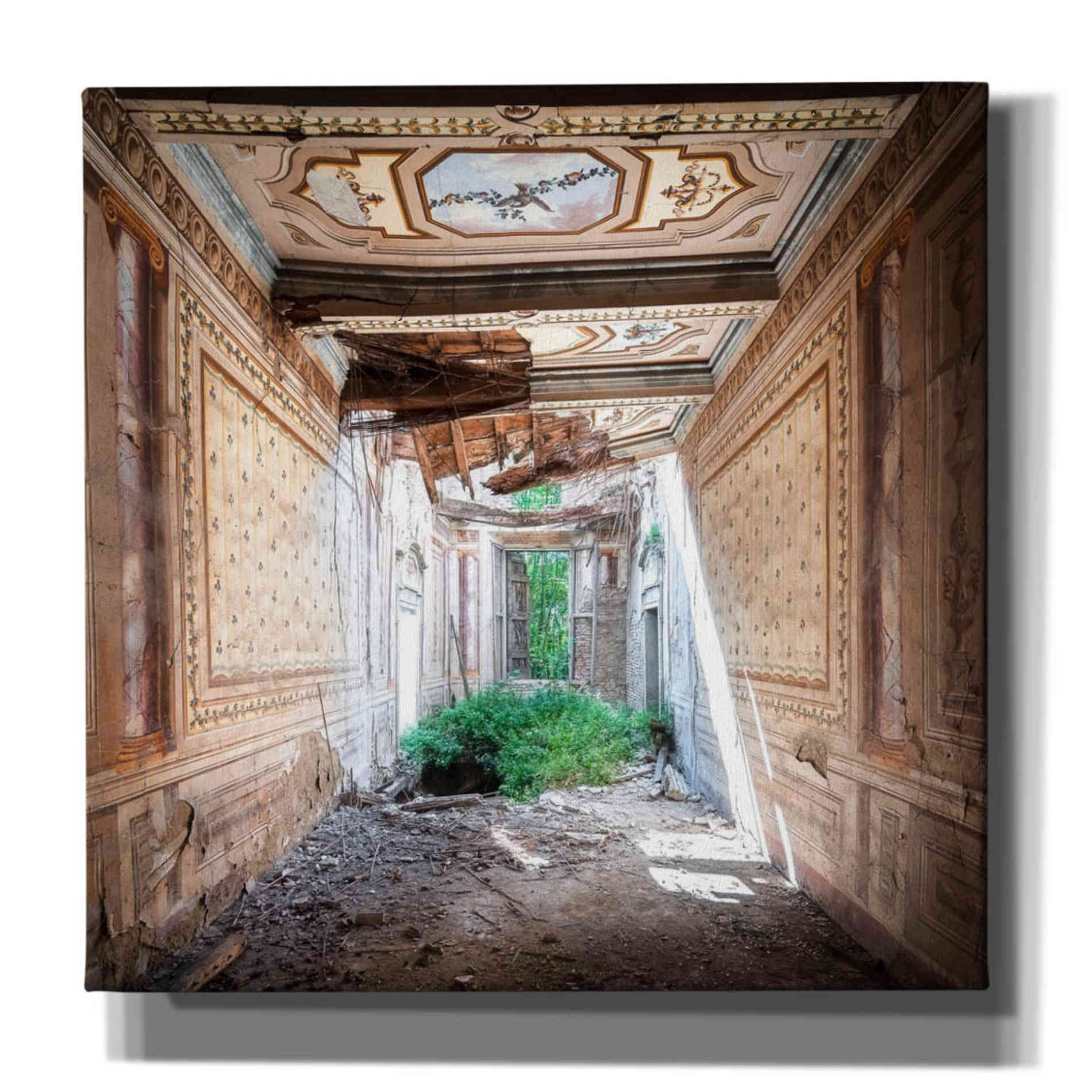 'Broken Farm' by Roman Robroek Giclee Canvas Wall Art