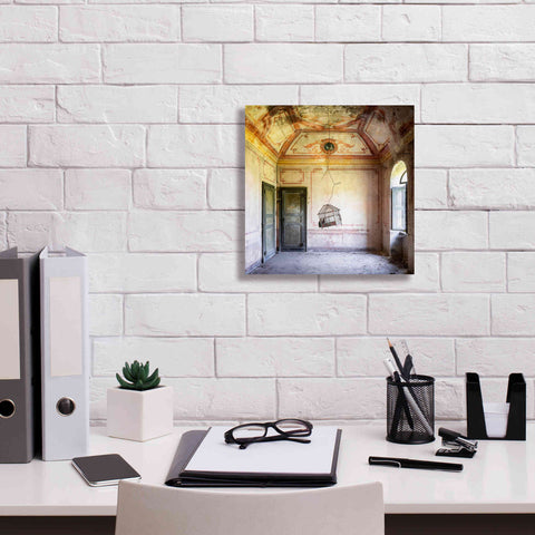 Image of 'Bird Cage' by Roman Robroek Giclee Canvas Wall Art,12 x 12