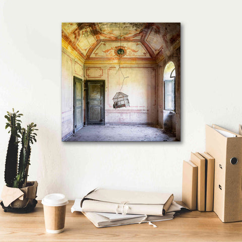 Image of 'Bird Cage' by Roman Robroek Giclee Canvas Wall Art,18 x 18