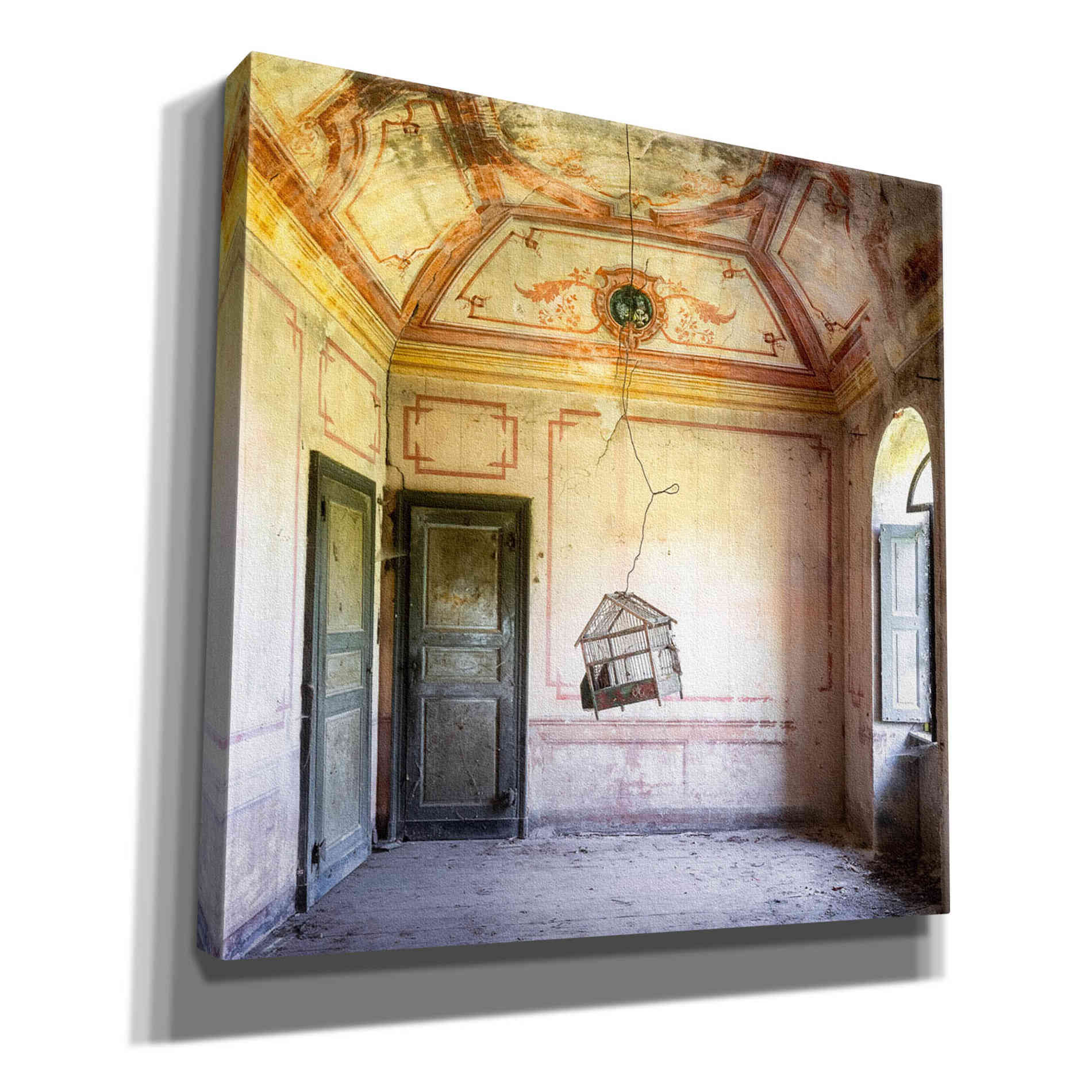 'Bird Cage' by Roman Robroek Giclee Canvas Wall Art