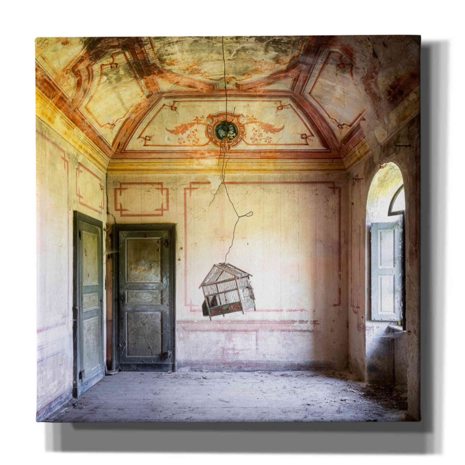 'Bird Cage' by Roman Robroek Giclee Canvas Wall Art