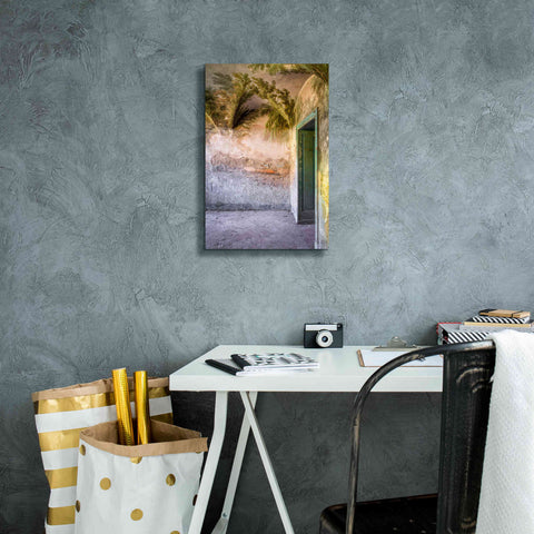Image of 'Tropical Room' by Roman Robroek Giclee Canvas Wall Art,12 x 18
