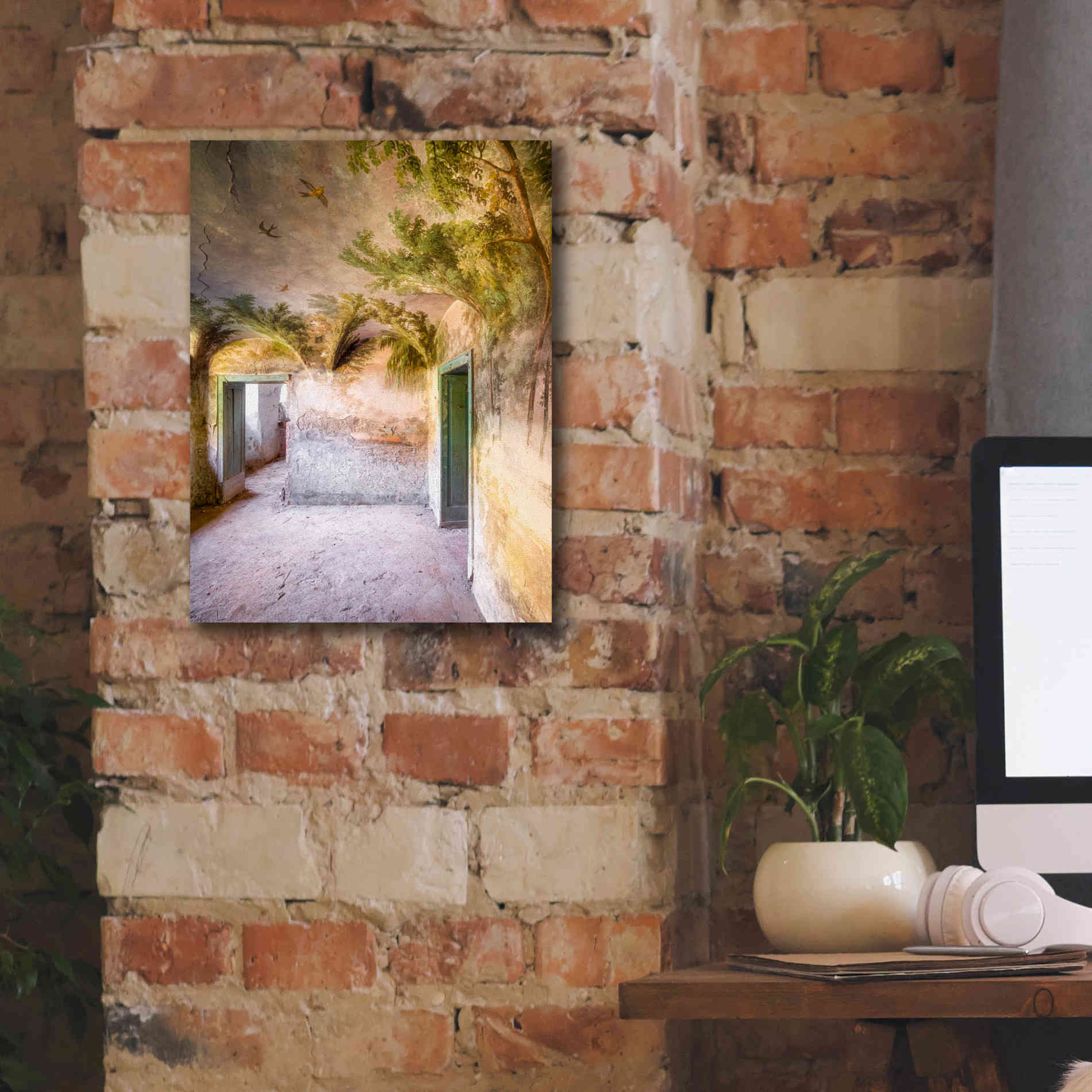 'Palm Room' by Roman Robroek Giclee Canvas Wall Art,12 x 16