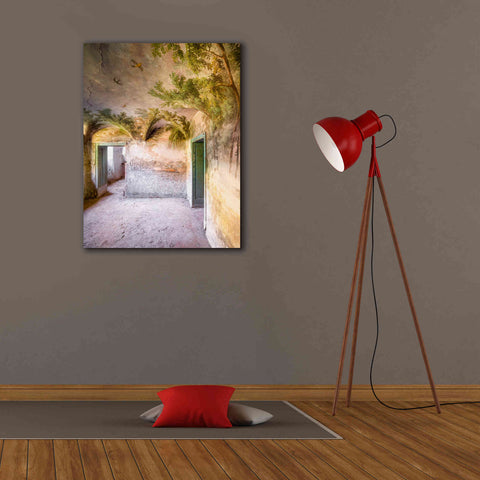 Image of 'Palm Room' by Roman Robroek Giclee Canvas Wall Art,26 x 34