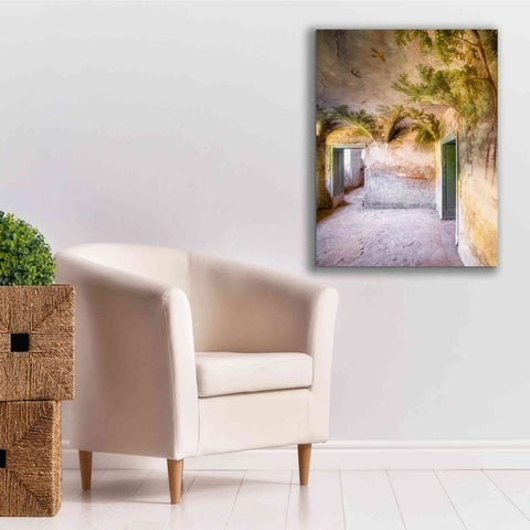 Image of 'Palm Room' by Roman Robroek Giclee Canvas Wall Art,26 x 34