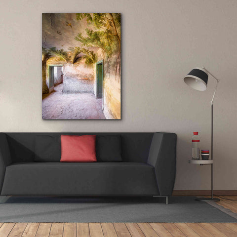 Image of 'Palm Room' by Roman Robroek Giclee Canvas Wall Art,40 x 54