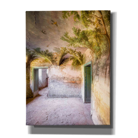 Image of 'Palm Room' by Roman Robroek Giclee Canvas Wall Art
