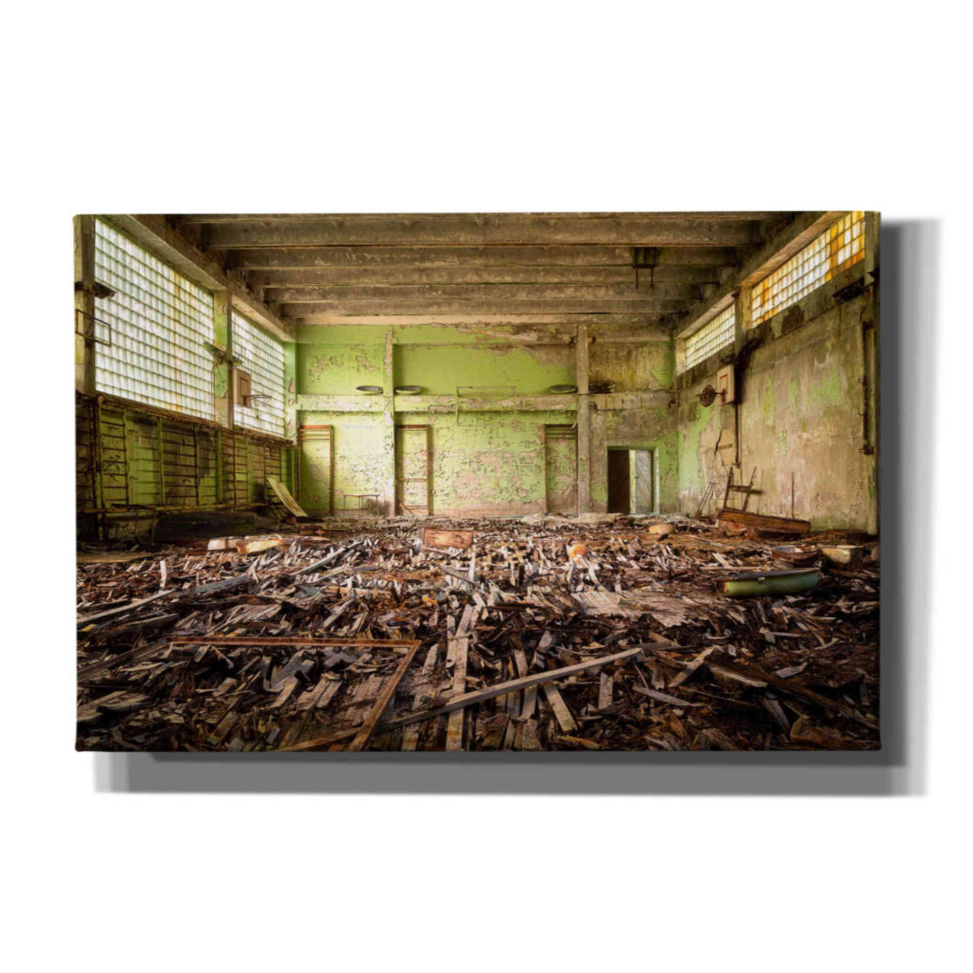 'Radiation Gym' by Roman Robroek Giclee Canvas Wall Art