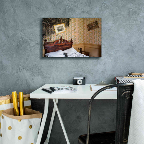 Image of 'Mold Bedroom' by Roman Robroek Giclee Canvas Wall Art,18 x 12