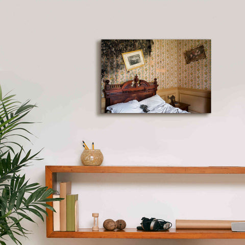 Image of 'Mold Bedroom' by Roman Robroek Giclee Canvas Wall Art,18 x 12