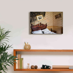 'Mold Bedroom' by Roman Robroek Giclee Canvas Wall Art,18 x 12